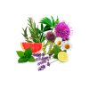 Binahi dual action dandruff-grease balancing lotion ingredients