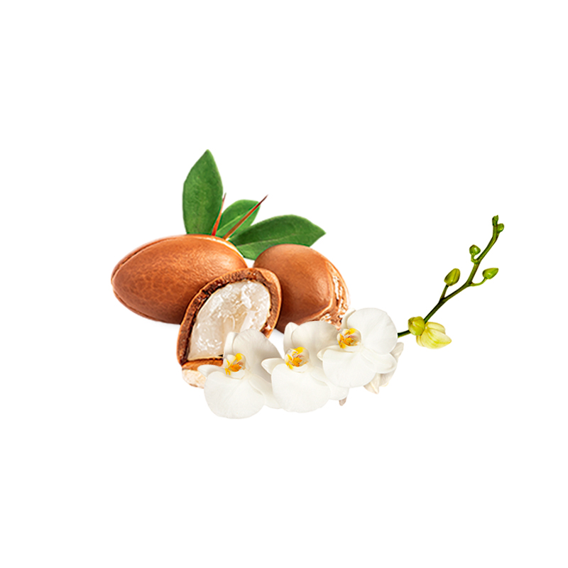 Leave in regenerator ingredients